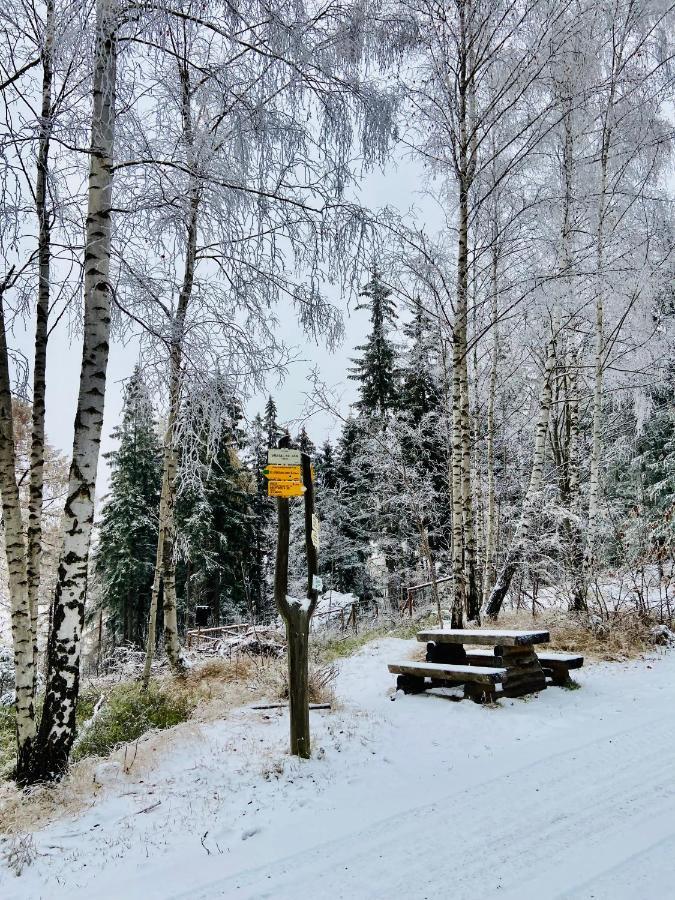 Utulny Apartman V Srdci Krkonos Se Saunou Jablonec nad Jizerou Eksteriør bilde